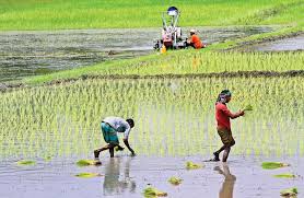 সংকট মোকাবিলায় গ্রামীন কর্মসংস্থানই হতে হবে অর্থনীতির মূল্ভিত্তি